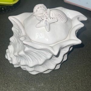 Beautiful ceramic shell